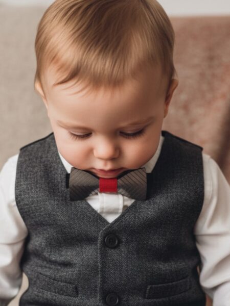 Παπιγιόν Όψης Μετάλλου SILVER0001