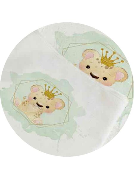 Σετ Λαδόπανα